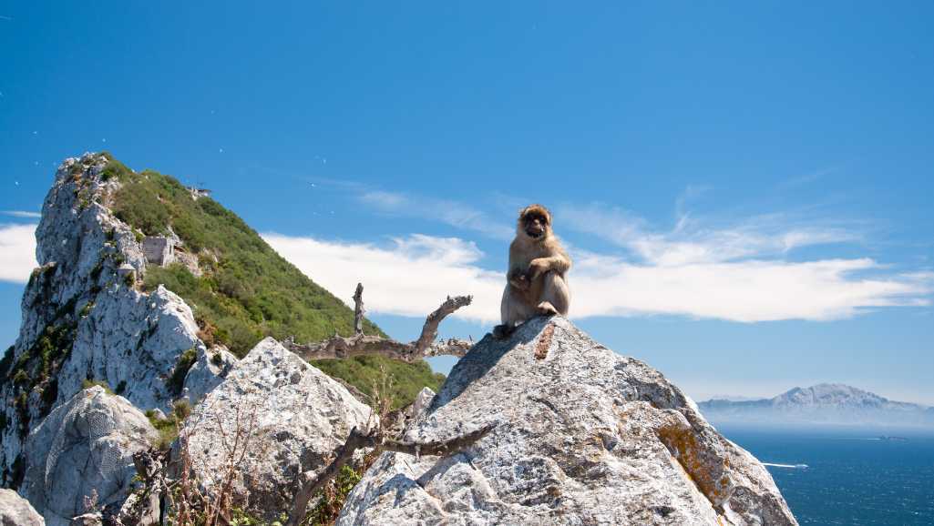 Excursion to Gibraltar