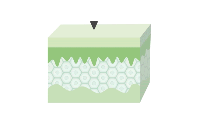 Animation texture crème Aloe Vera