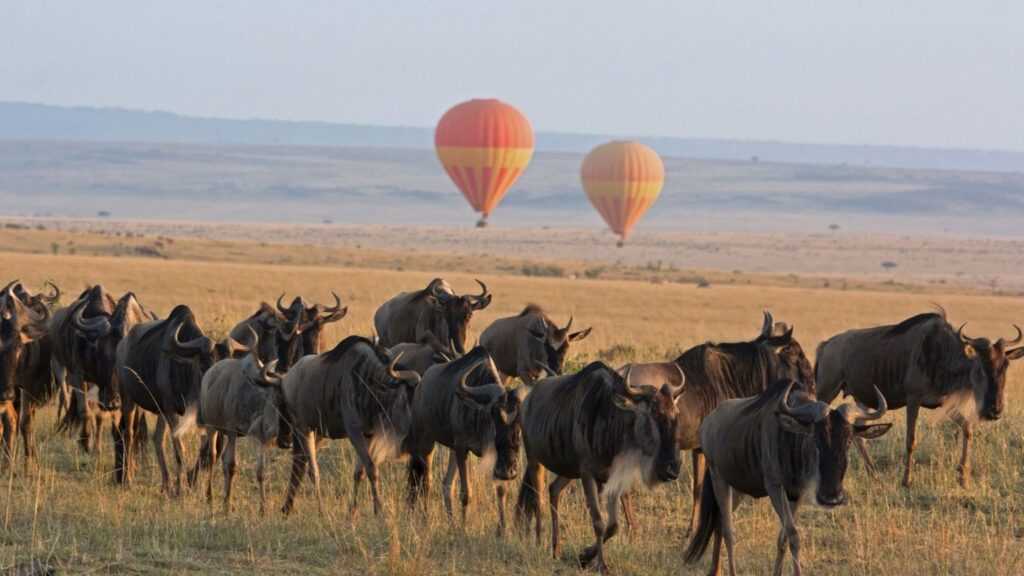 luxury-safari-east-africa