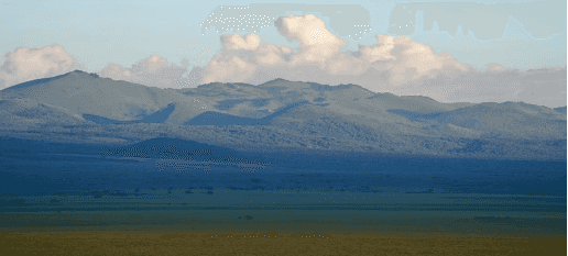 TSAVO NATIONAL PARKS (EAST AND WEST)