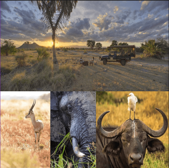 MERU NATIONAL PARK