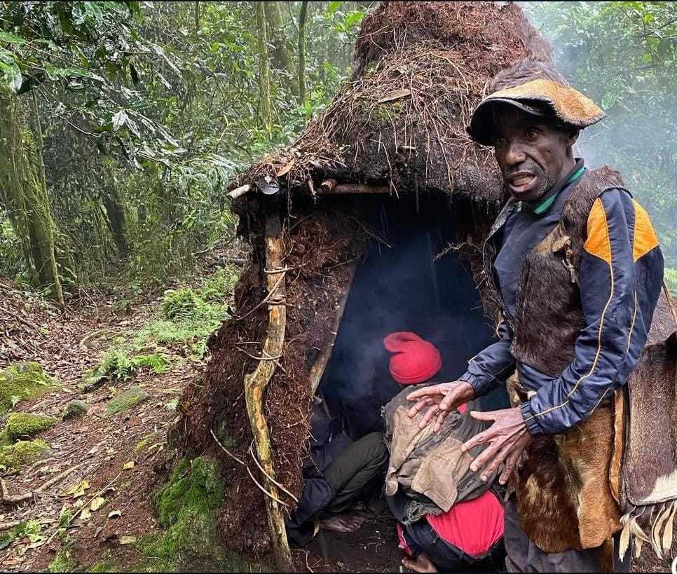 Batwa Traditional shelters