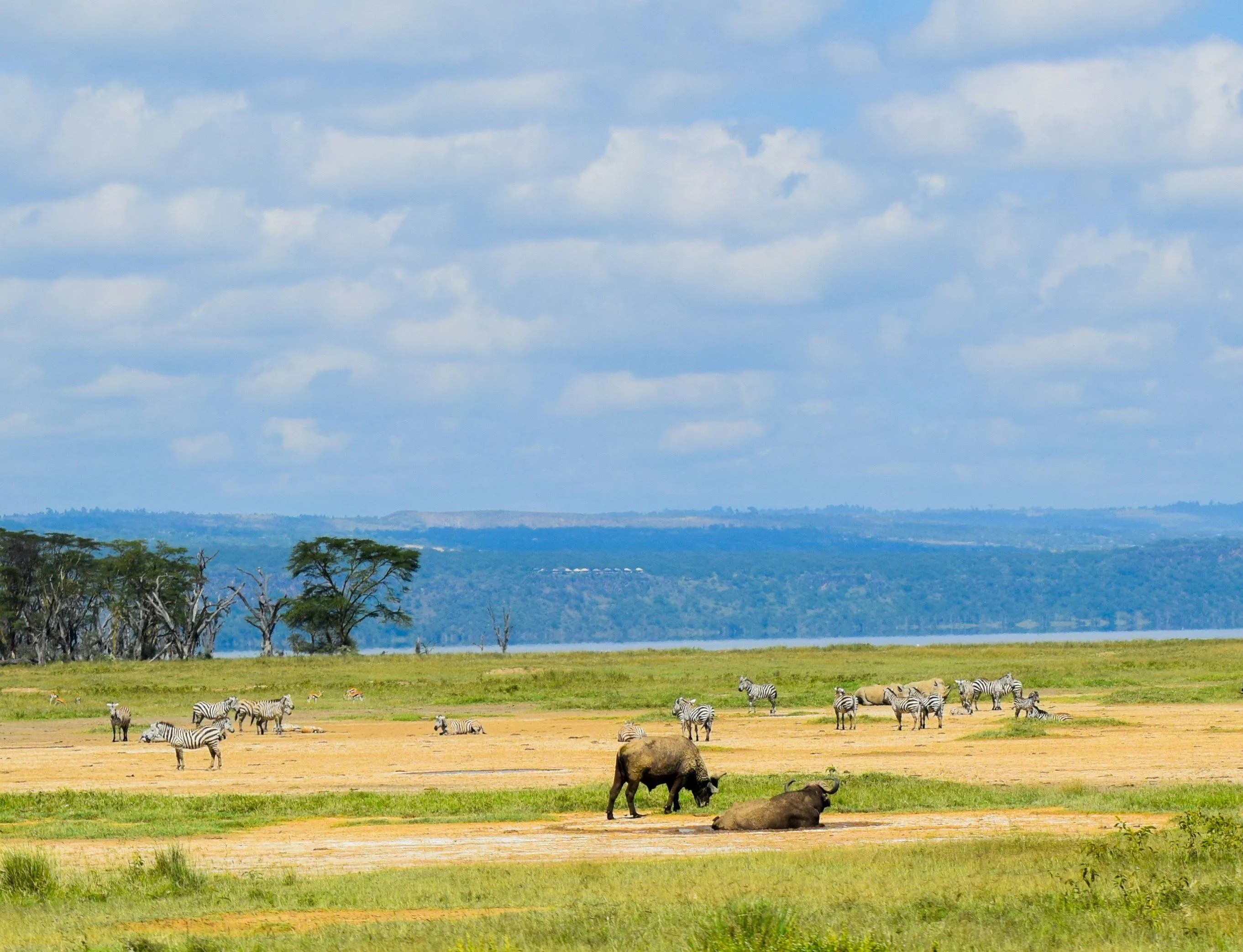 Luxury safari lodge in Kenya overlooking the savannah