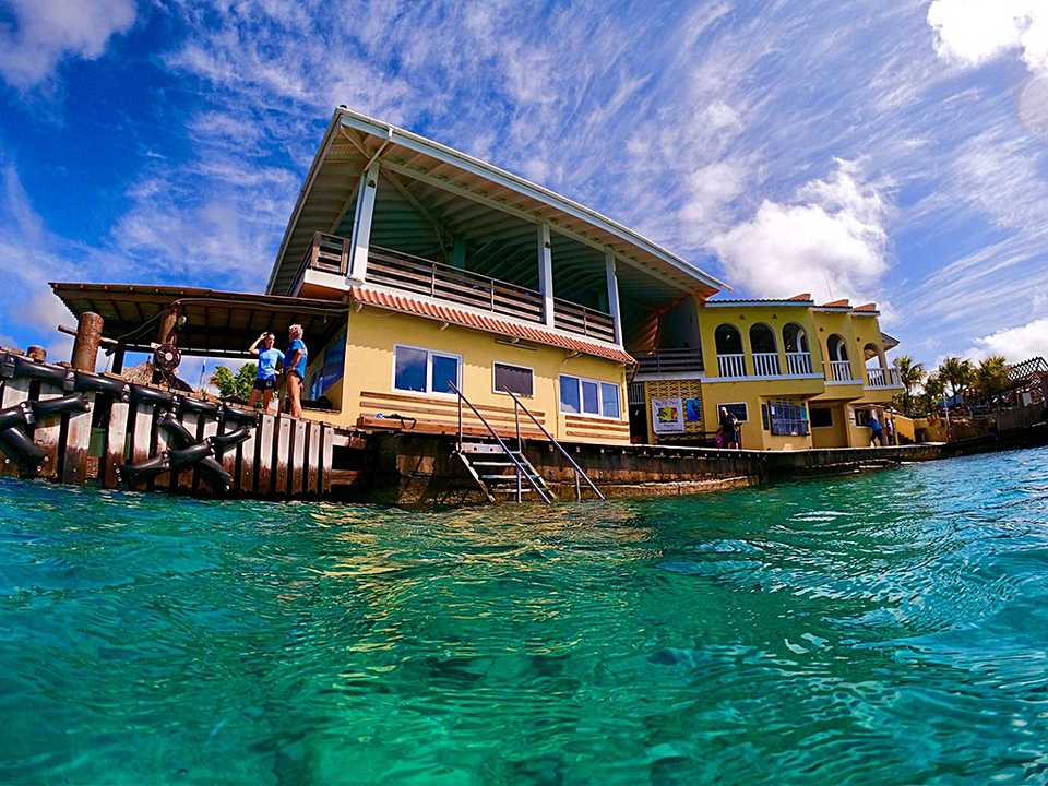 Buddy Dive's Marine Life Weeks are devoted to discovering the small creatures found right off the resort's docks.