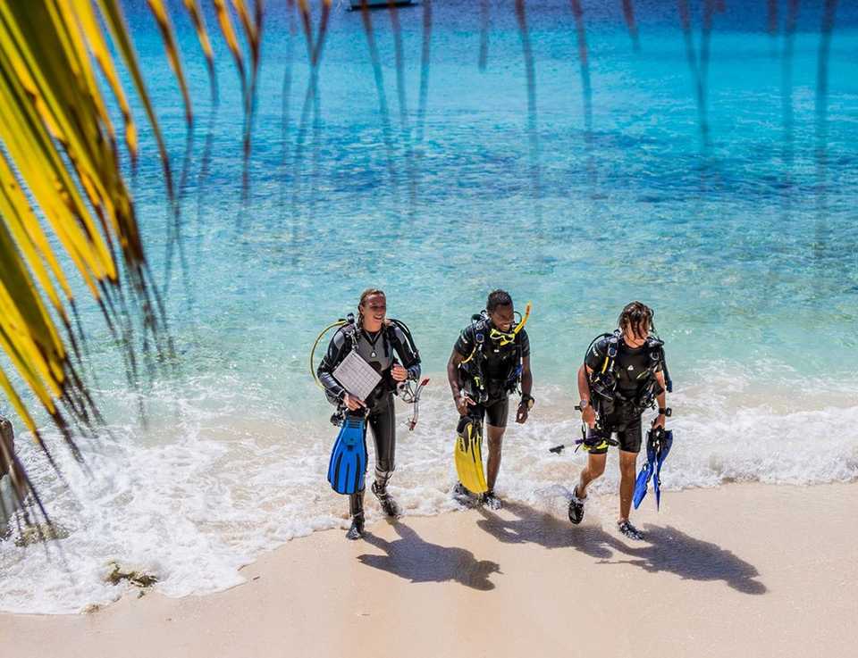 Three divers emerge from the water on a beach in Bonaire.