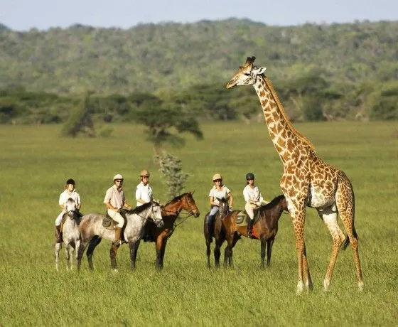 Private mobile luxury camp during horse riding safari Africa
