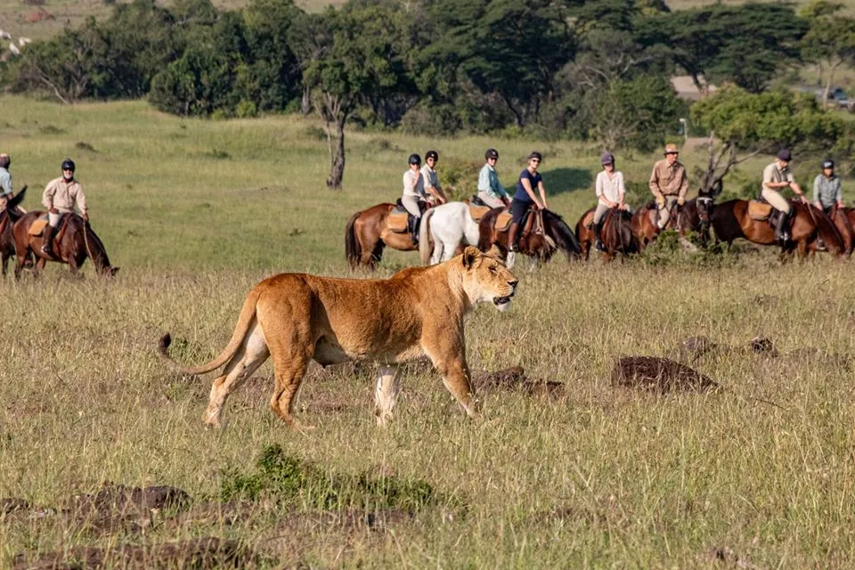 Horse riding safari in Serengeti Tanzania during migration season