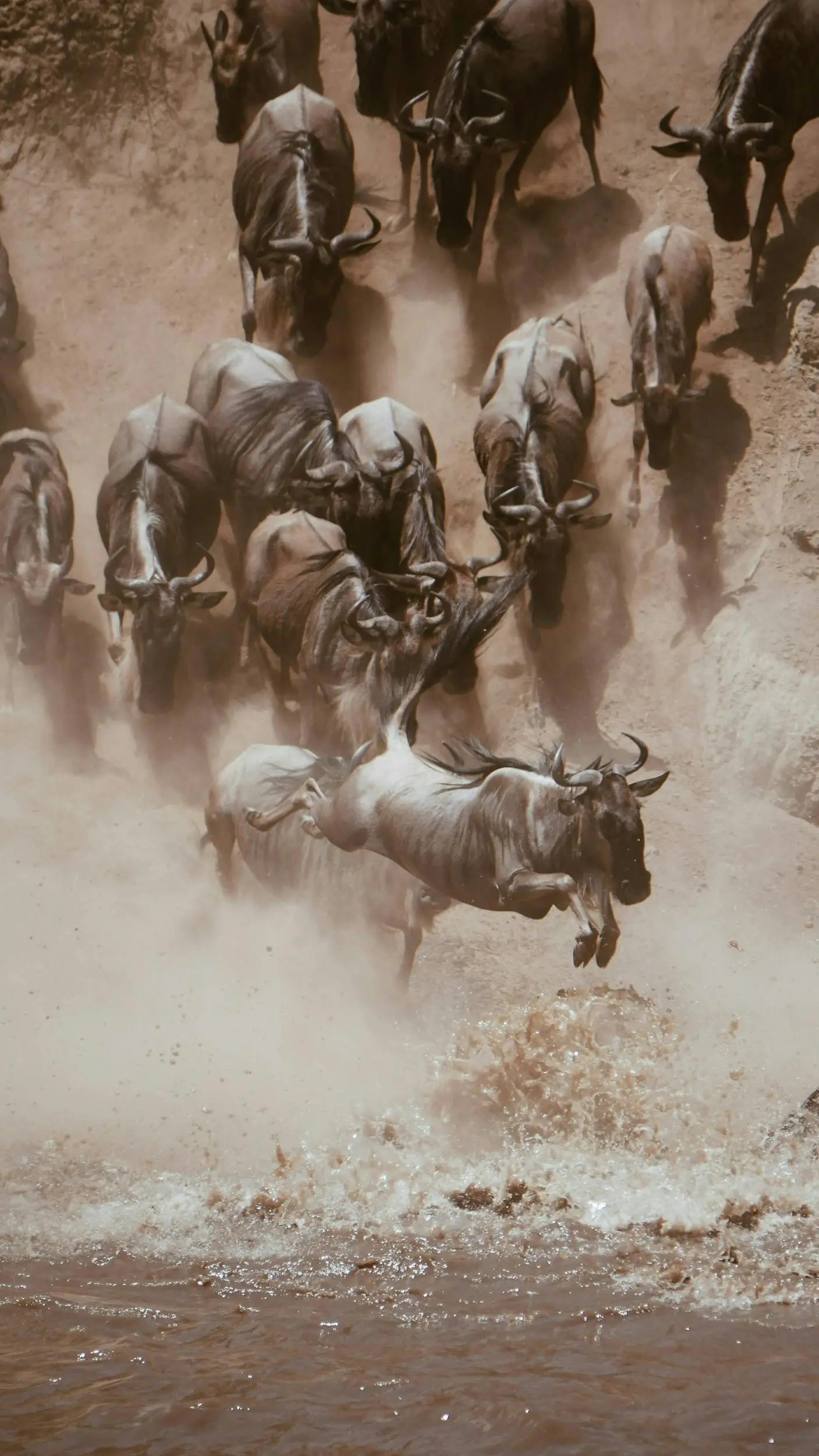 the great wildebeest migration