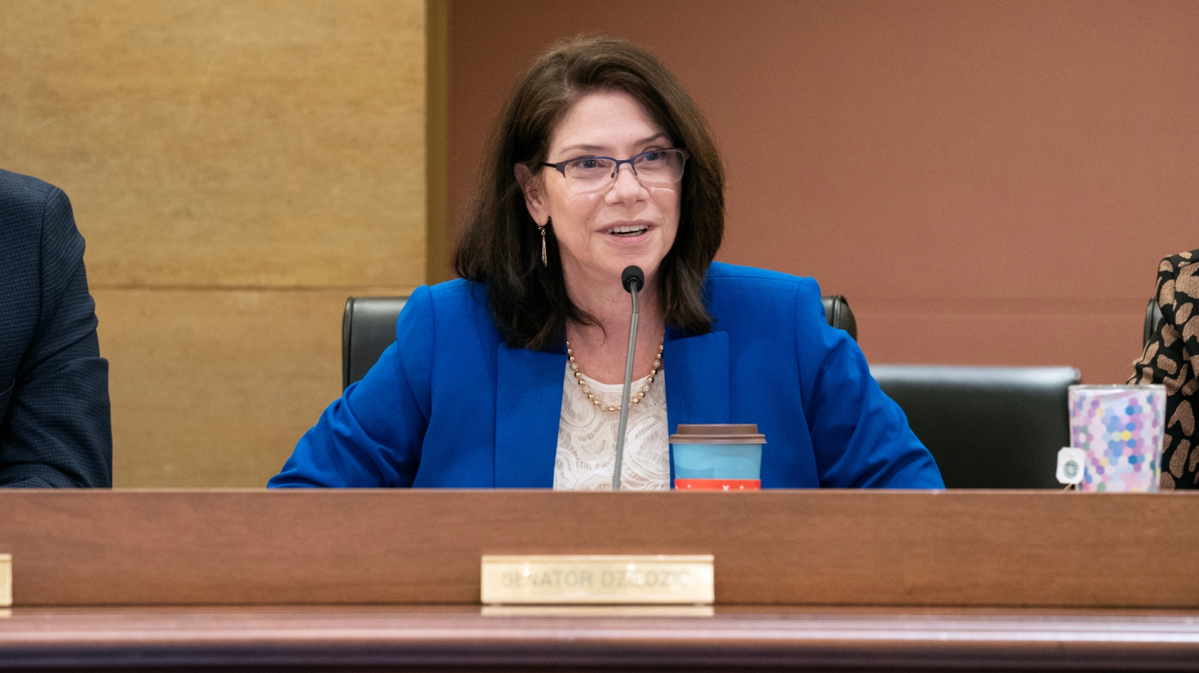 Senator Kari Dziedzic Photo