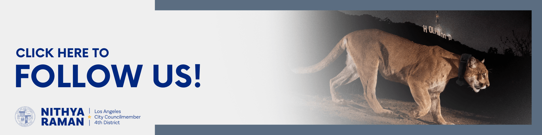 CLICK HERE TO FOLLOW US!