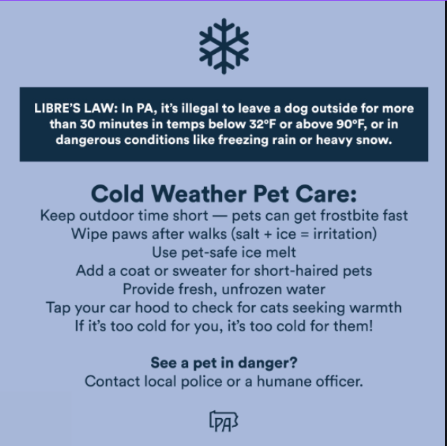 Cold Weather Pet Care