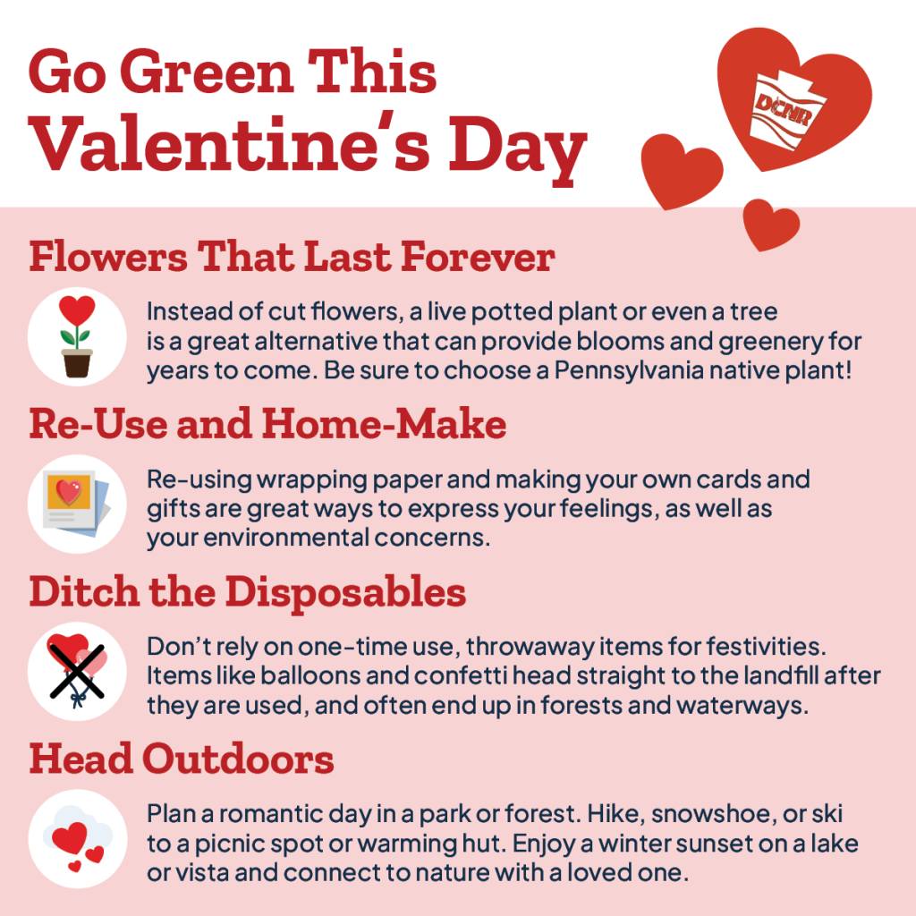 Go Green this Valentine's Day!