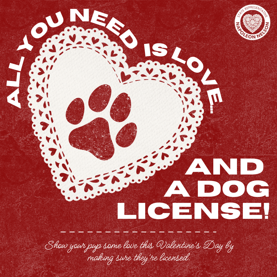 All You Need is Love... And a Dog License!