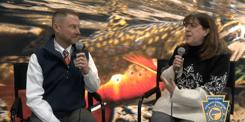 a placeholder image for you to replace