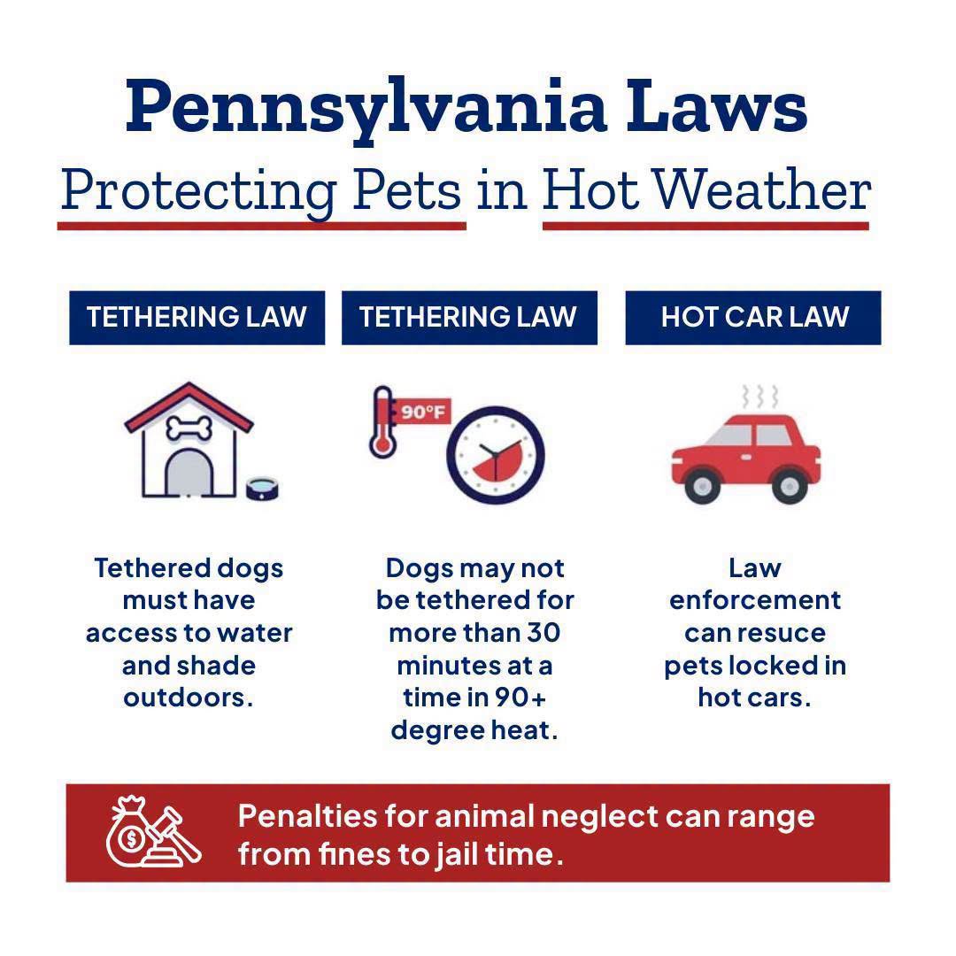 PA Laws to Protect Pets in Hot Weather