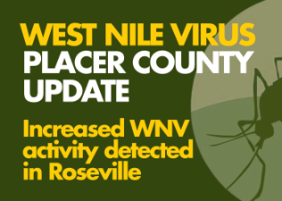 An infographic that says "West Nile Virus Placer County Update, Increased WNV activity detected in Roseville"