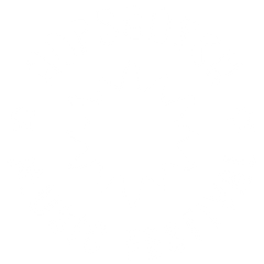 Hopscotch Music Festival