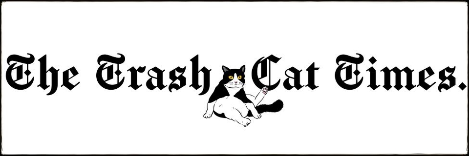 Trash Cat Times