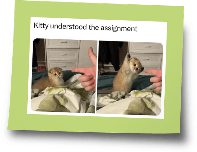 MEME