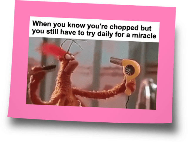 MEME