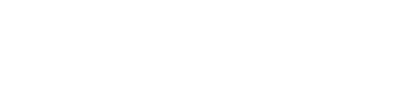 One Goal ERP 100% Mexicano