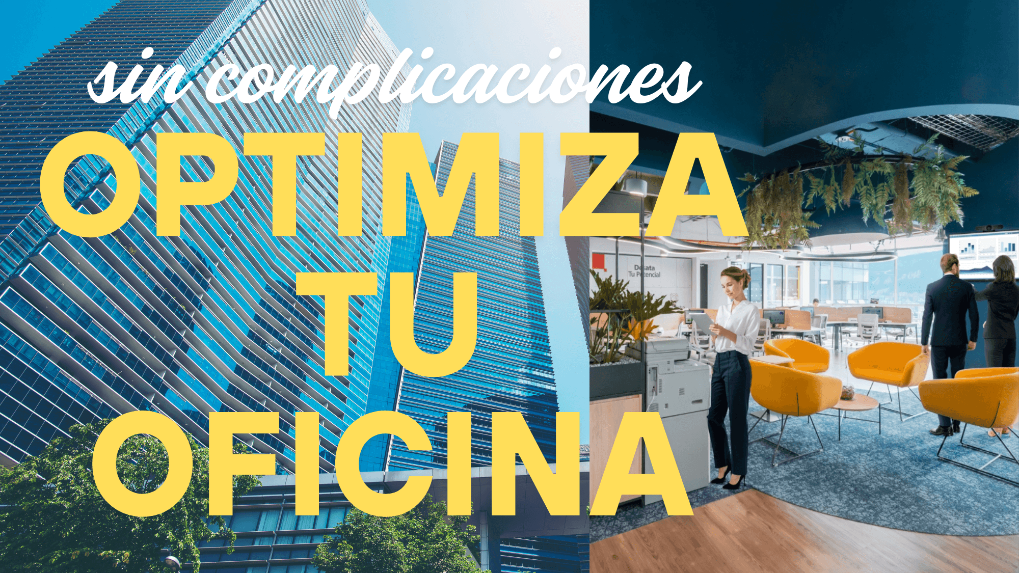 experiencia alquielr copimarks