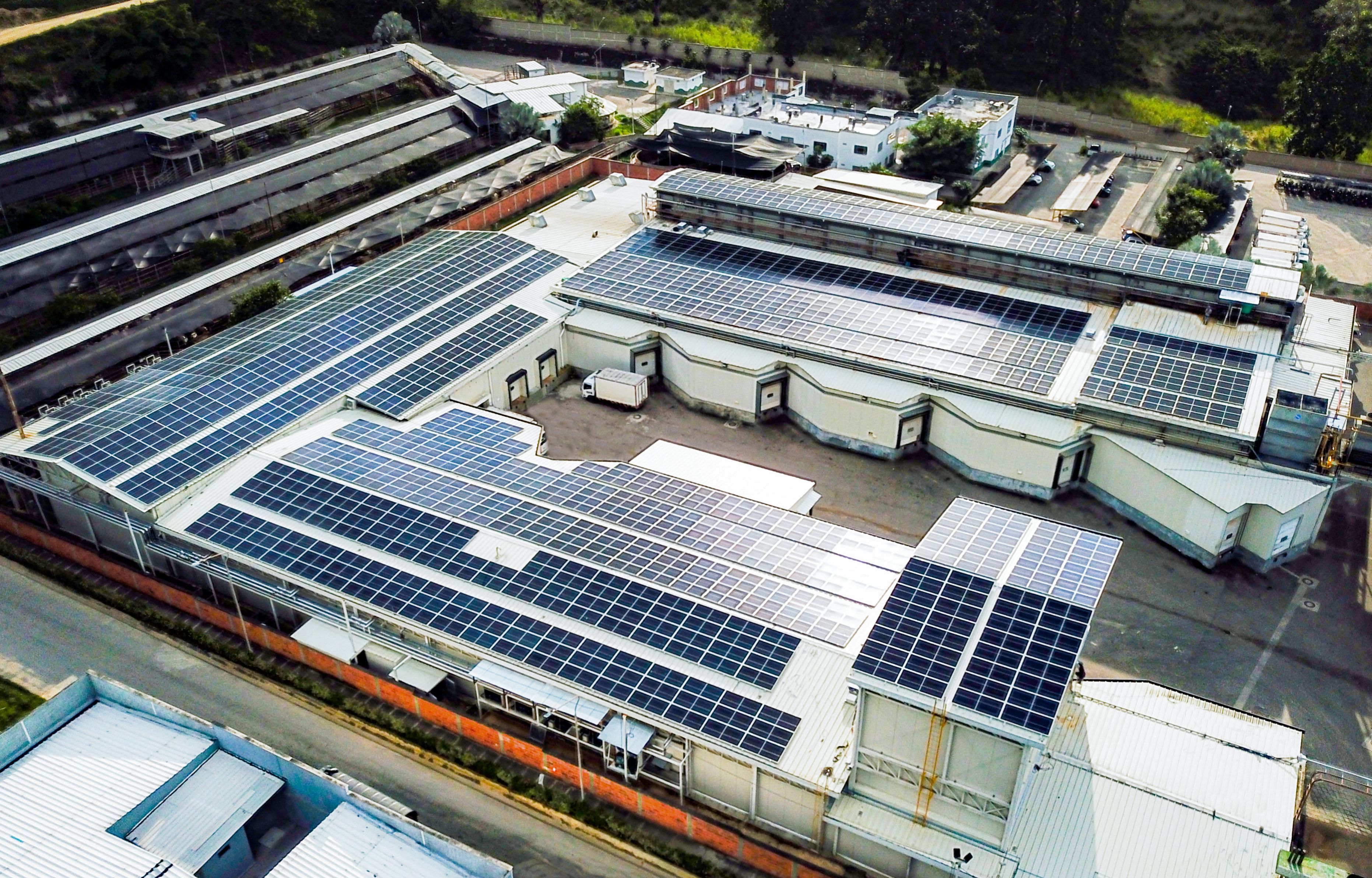 logo terminal transporte Bucaramanga