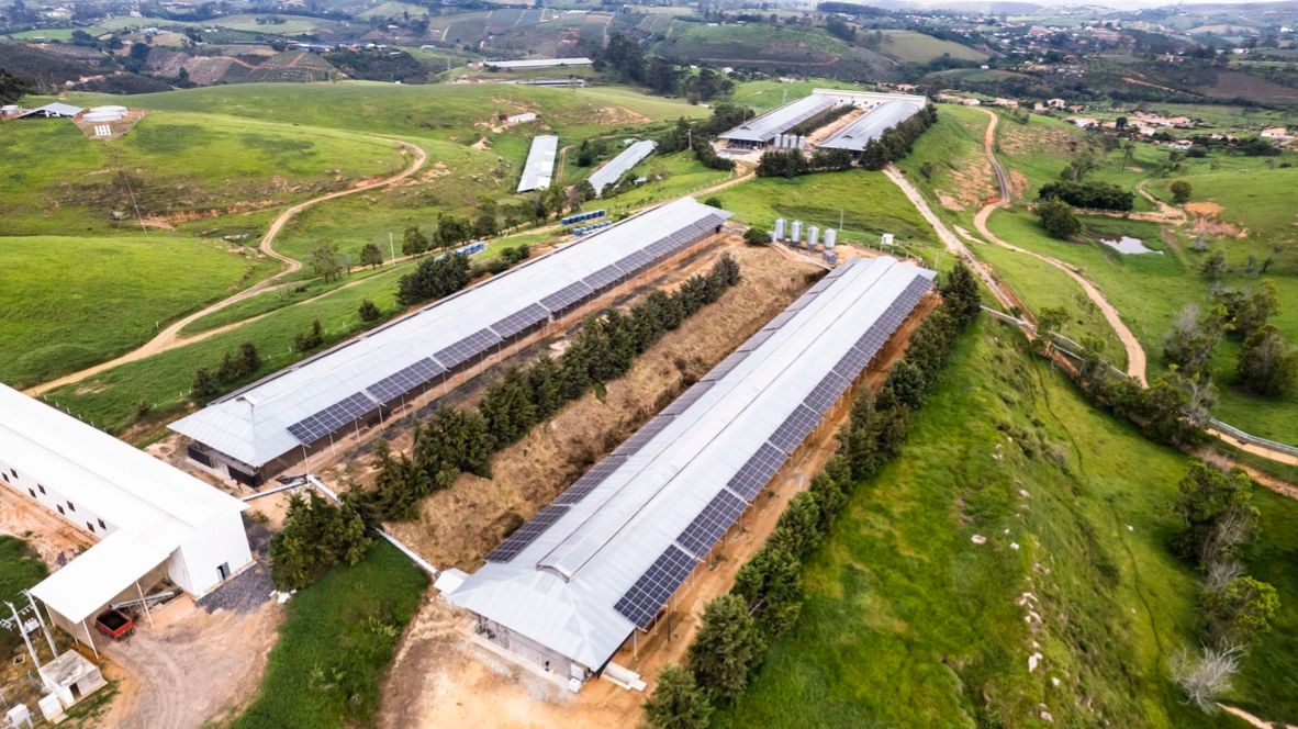 logo Huevos los Santos