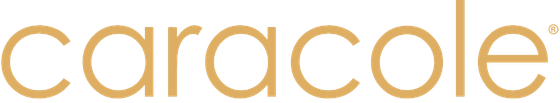 Dexterton Corporation Logo