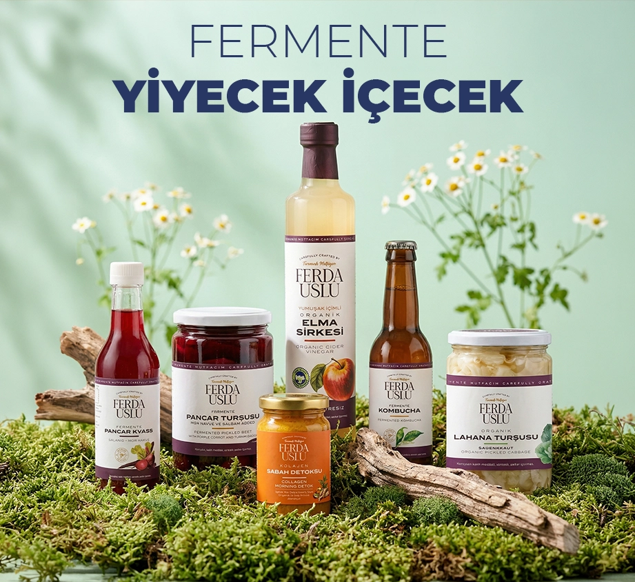 Organik fermente yiyecek ve içecekler