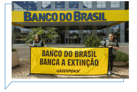 Ativistas do Greenpeace Brasil realizaram um protesto pacífico na sede do Banco do Brasil, em Brasília, para mostrar à instituição o resultado das falhas no processo de concessão de crédito, que leva ao desmatamento da Amazônia, e em outros biomas, e à nossa própria extinção.   Na ação, ativistas do Greenpeace montaram um cenário de devastação e morte na porta do banco, com personagens representando as instituições financeiras, e sua falta de cuidado com a proteção do meio ambiente, além de árvores queimadas e animais - vítimas diretas da perda de florestas. Com essa manifestação, o Greenpeace reforça o papel urgente do sistema financeiro em interromper recursos para a destruição ambiental, que por sua vez fomenta a emergência climática e a crise da biodiversidade.