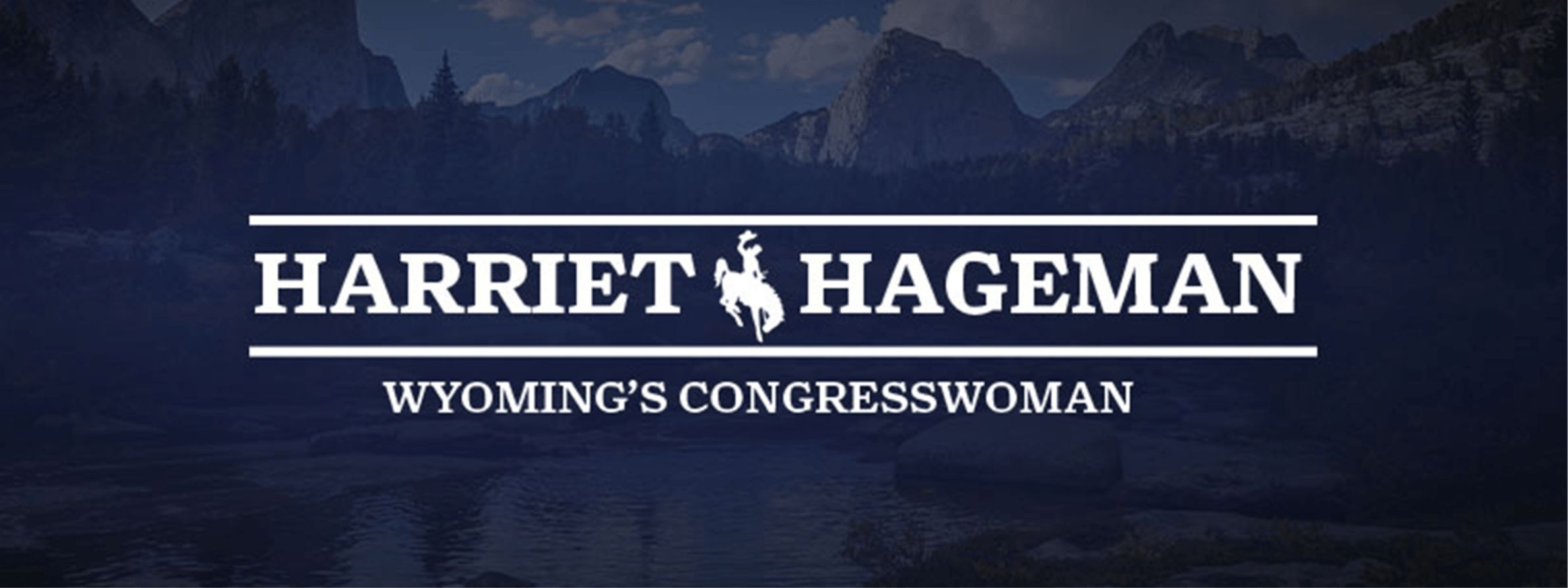 Rep. Harriet Hageman newsletter banner image