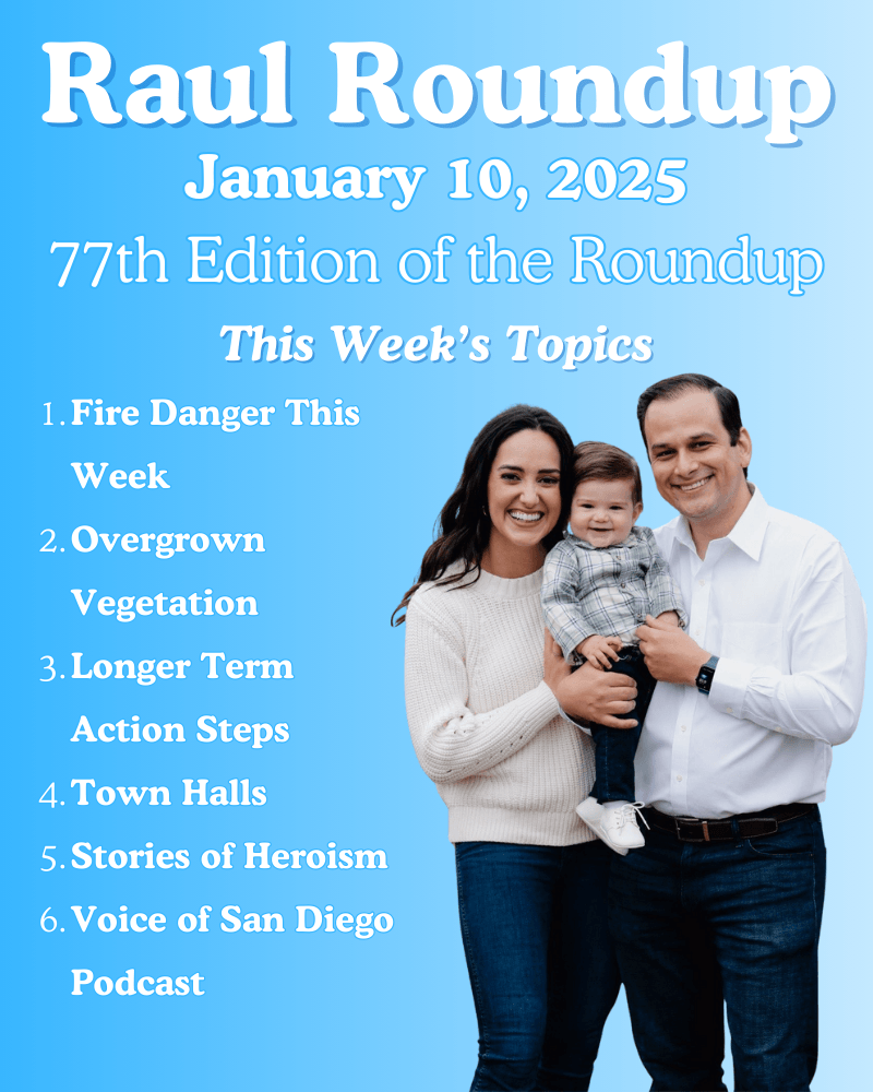 Office of San Diego City Councilmember Raul A. Campillo banner Image