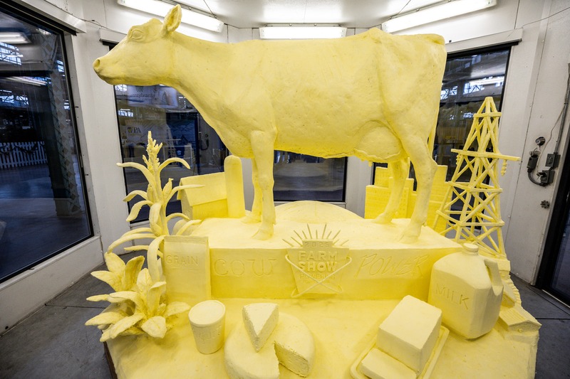 A large butter sculpture of a dairy cow with cheese in front.