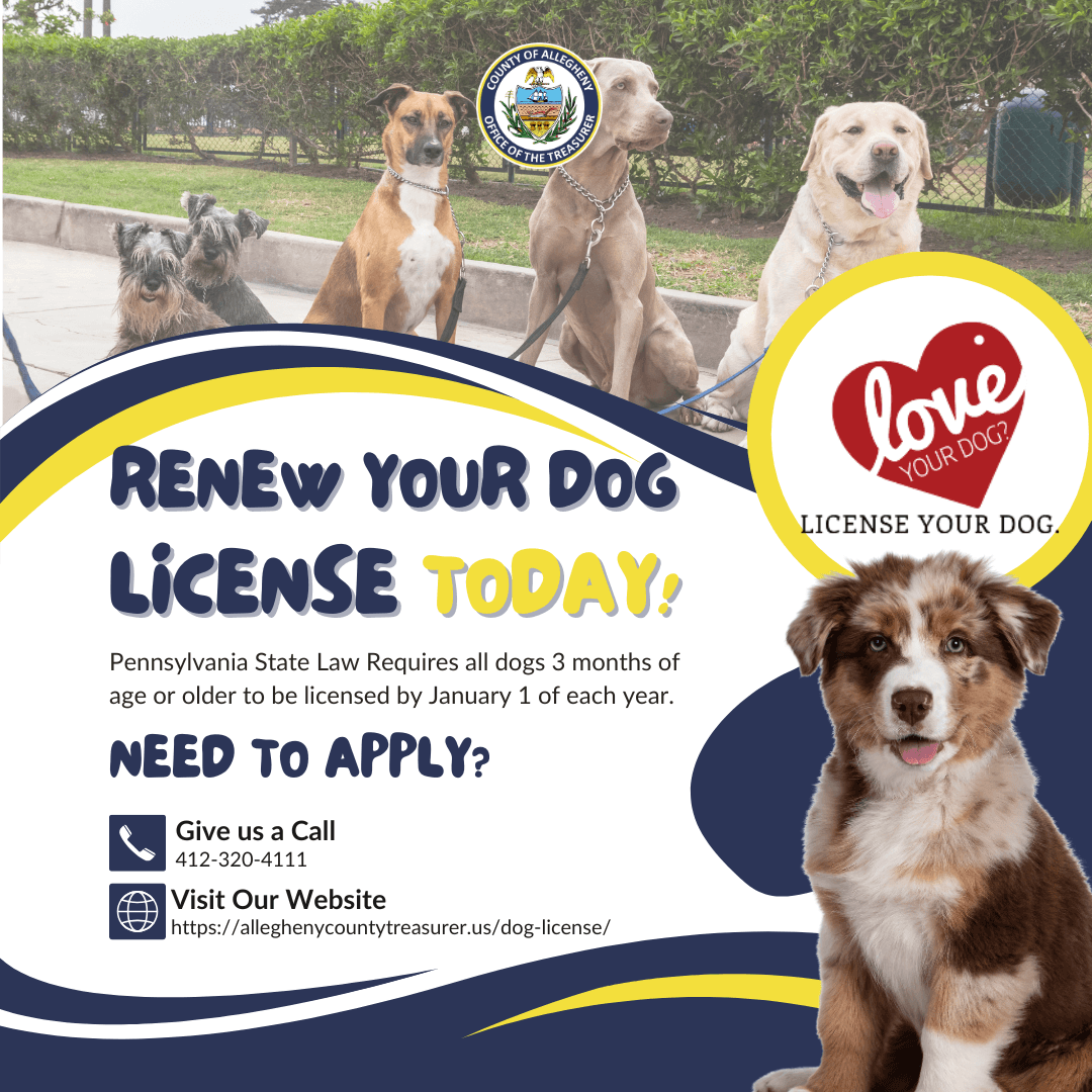 Graphic reminding residents Allegheny County dog licenses purchased in 2024 (other than lifetime licenses) expired Dec. 31.