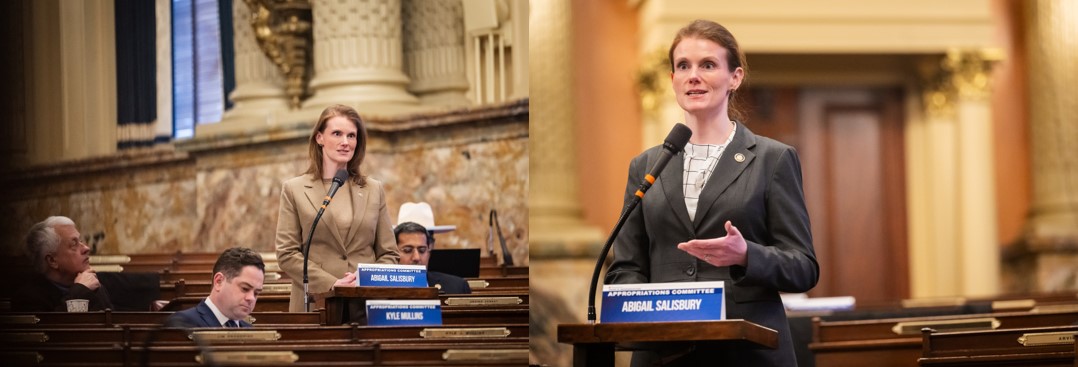 Rep. Salisbury speaking during budget hearings last week.