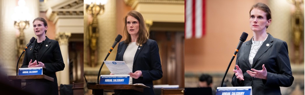 Rep. Salisbury speaking during budget hearings last week.