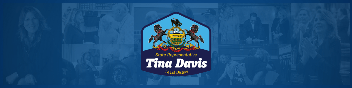 PA Representative Tina Davis banner image