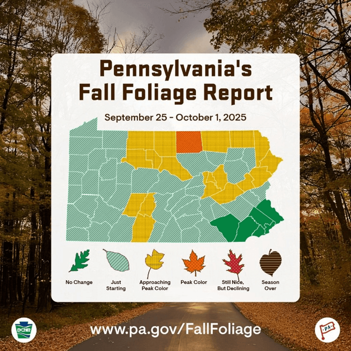 A graphic that says "America 250PA Semiquin Scholarship Program"