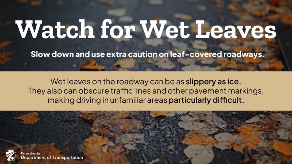 Watch For Wet Leaves