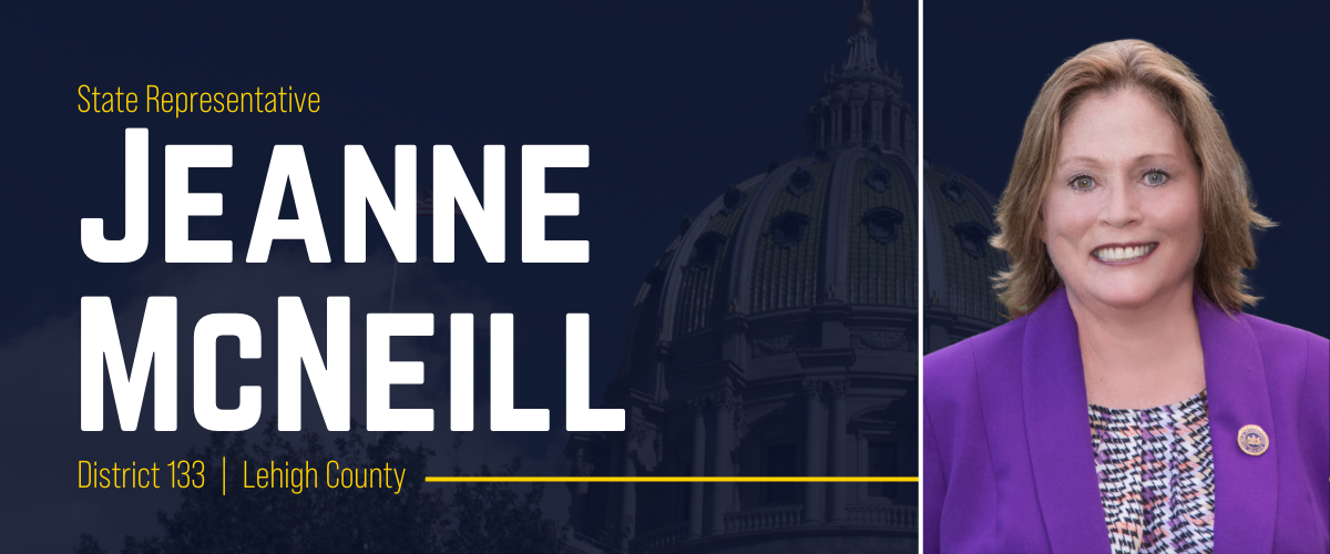 PA Representative Jeanne McNeill banner image