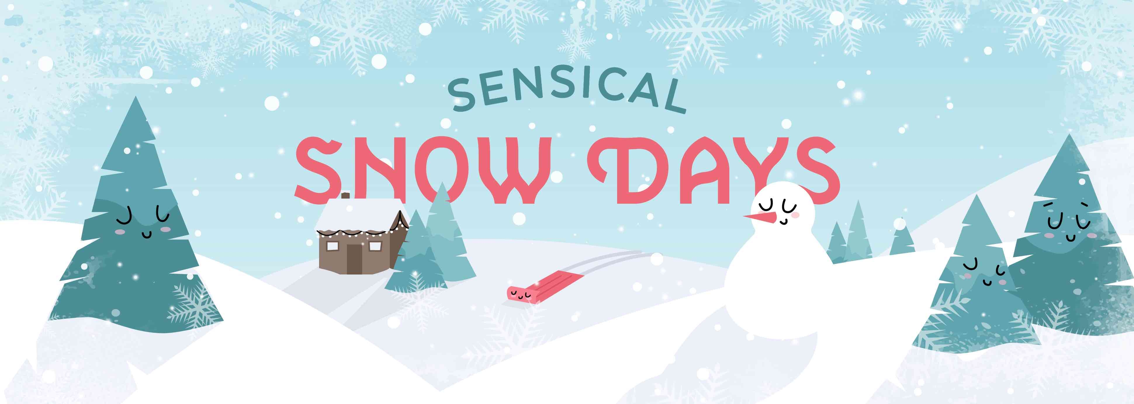 Sensical Snow Days