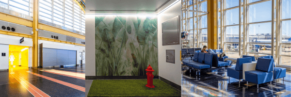 DCA Reimagined - New Restrooms, Pet Relief, Seating and More