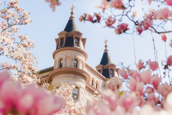 View of a DC building with distinctive turrets, framed by blooming pink cherry blossoms under a clear blue sky.