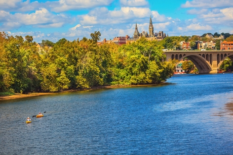 A scenic view of the Potomac River with three kayakers paddling. In the background, the iconic towers of Georgetown University rise above the lush greenery. The Key Bridge arches over the river, connecting the vibrant cityscapes. Fluffy clouds dot the blue sky.