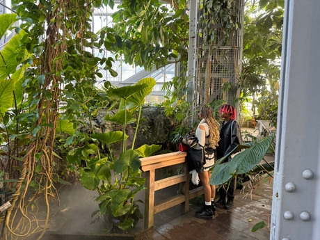 Two people stand on a wooden platform, surrounded by lush green plants inside United States Botanic Garden in DC. They are looking over a railing at a misty area. The environment is lush and filled with large leaves and climbing vines.