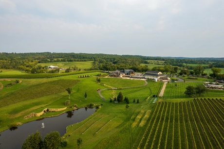Aerial view of a spacious vineyard with neatly arranged rows of grapevines. A pond is visible in the foreground, and a winery building complex is in the midground. The landscape is lush and green, with trees and fields extending into the distance under a slightly cloudy sky.