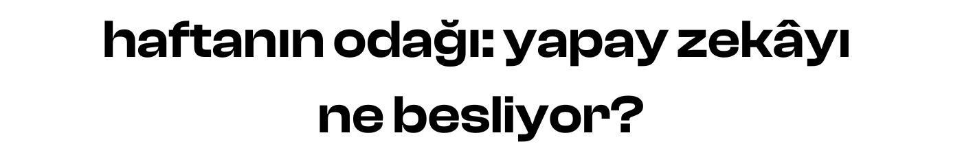 haftanın odağı: yapay zekâyı ne besliyor?