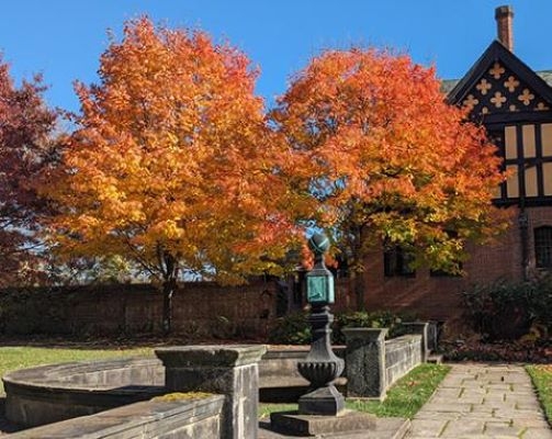 Photo of Stan Hywet Hall and Gardens