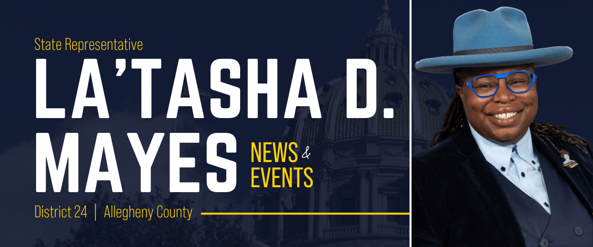 PA Representative La'Tasha Mayes banner image